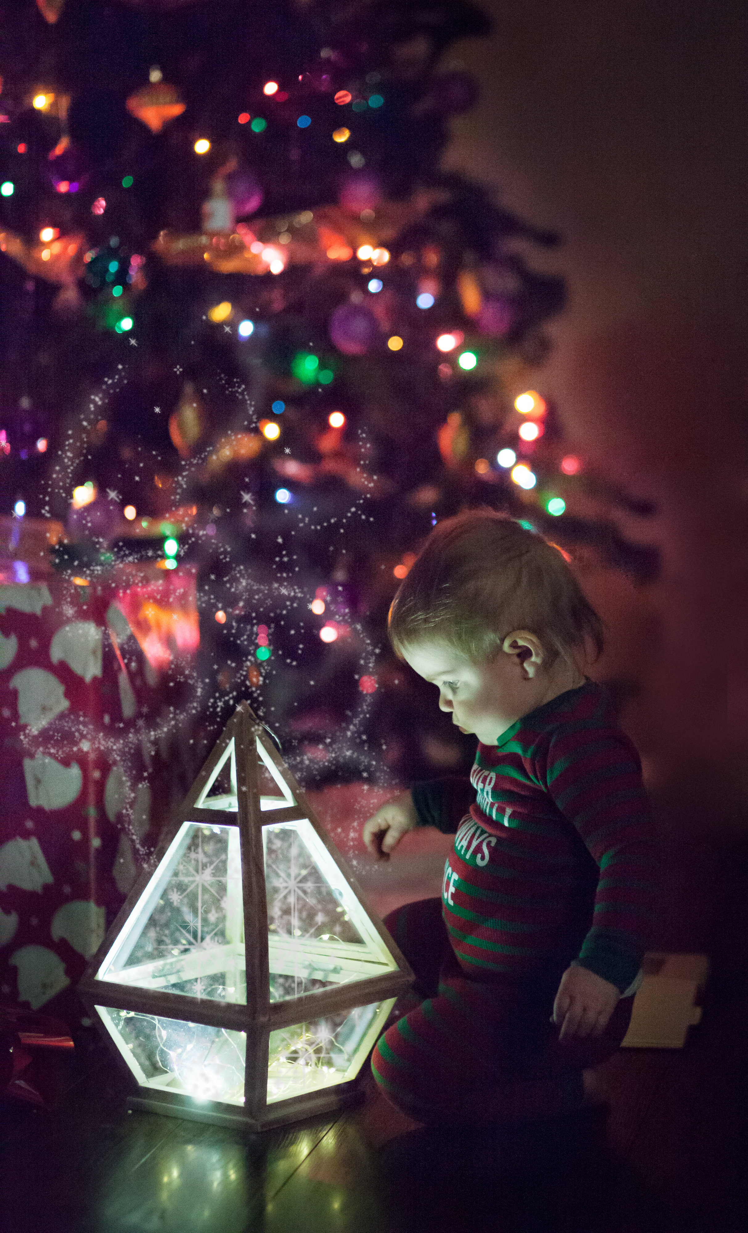 Swift Current Christmas Photos