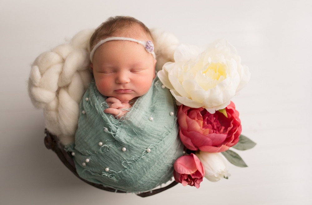 regina newborn photography