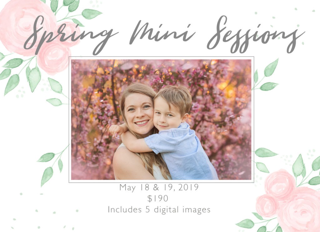 regina spring mini session, regina family photography