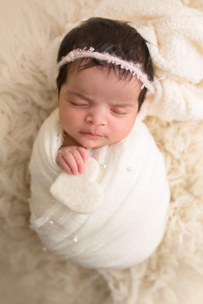 regina newborn photographer