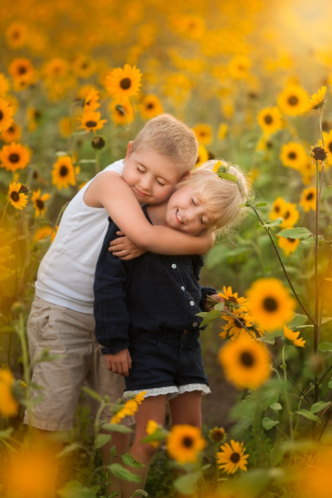 sunflower family photos