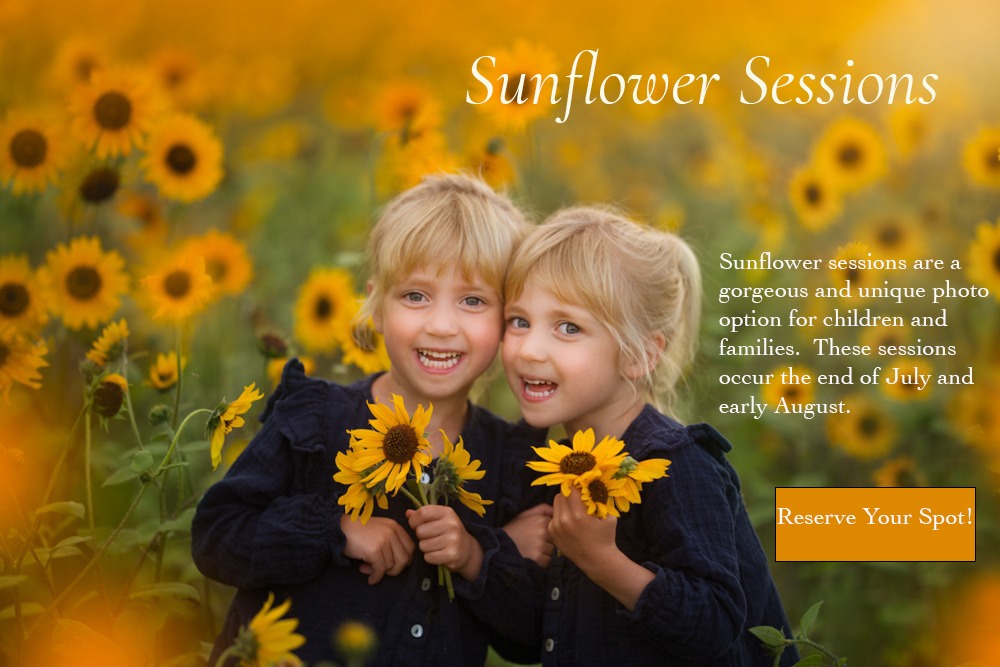 Regina Sunflower Photo Session